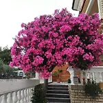 And Bozena بيت ضيافة 3*