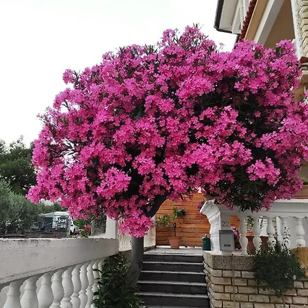 And Bozena Guest house 3*