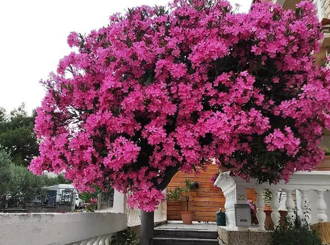 And Bozena Guest house 3*